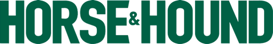 logo horse and hound