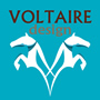 logo voltaire saddles