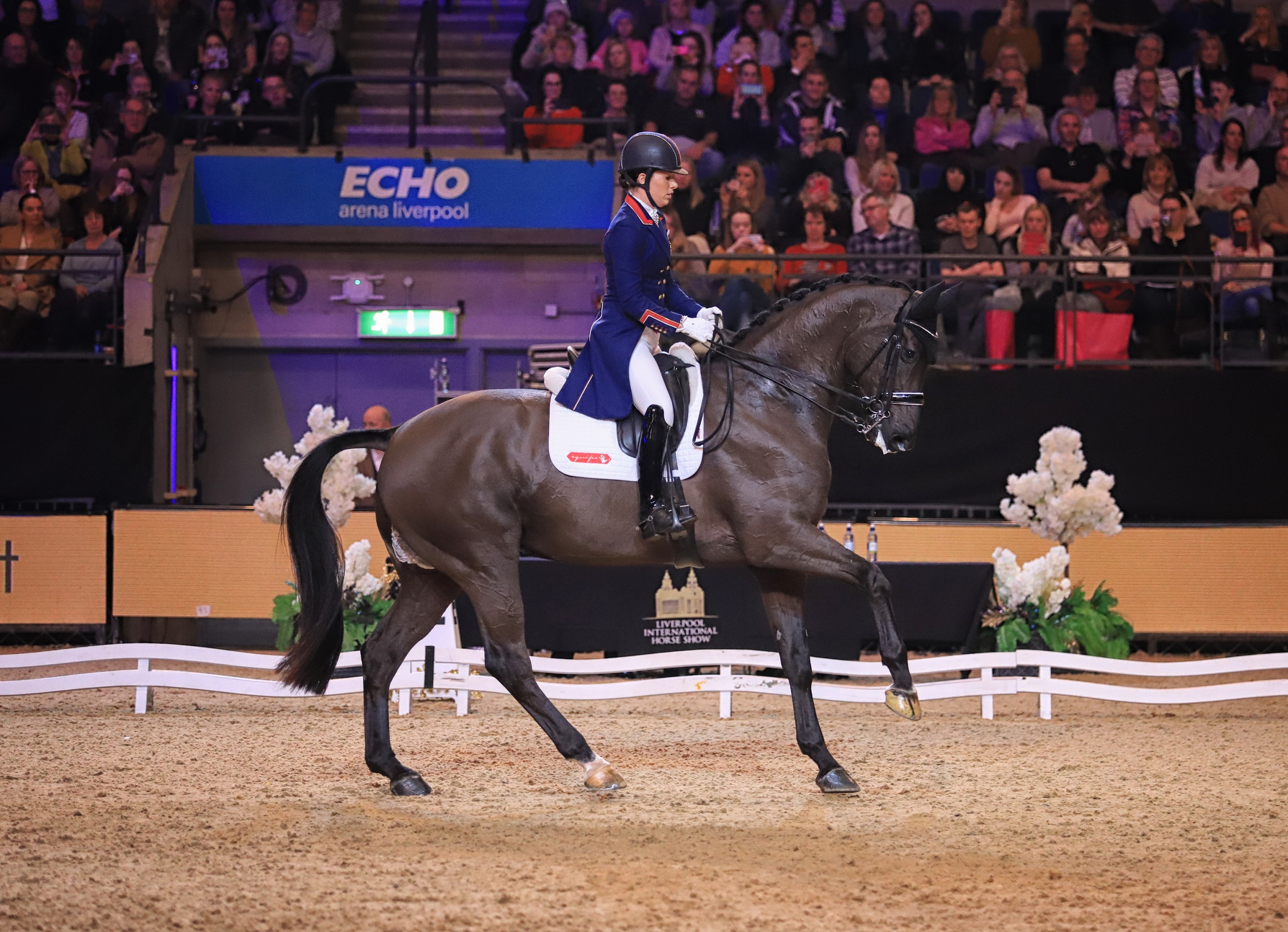 liverpool international horse show the countdown begins