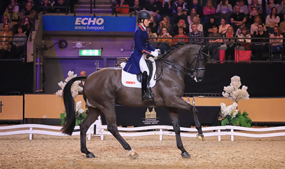 Freestyle Dressage