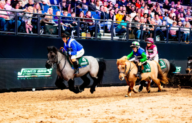 Shetland Pony Grand National