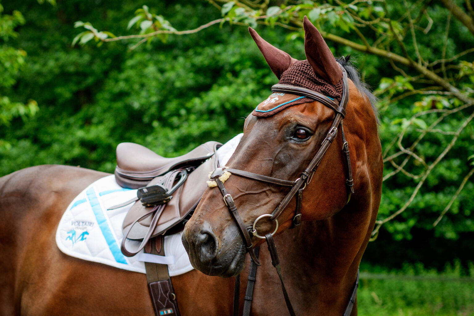 New Range and Special Offer from Voltaire Design Liverpool