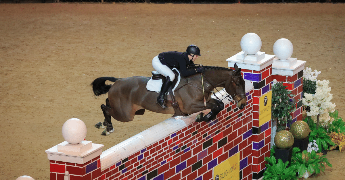 Puissance Liverpool International Horse Show blog post image